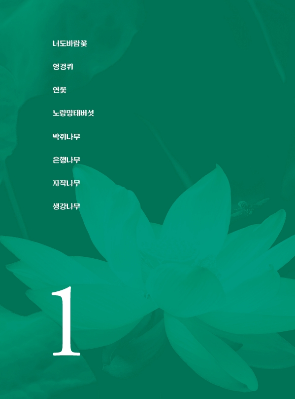 세이버링으로 음미한 숲은 맛있다