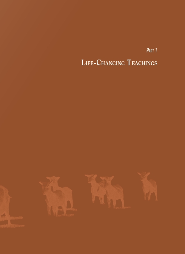 I am still learning from you today 오늘도 당신에게 배웁니다(영어판)