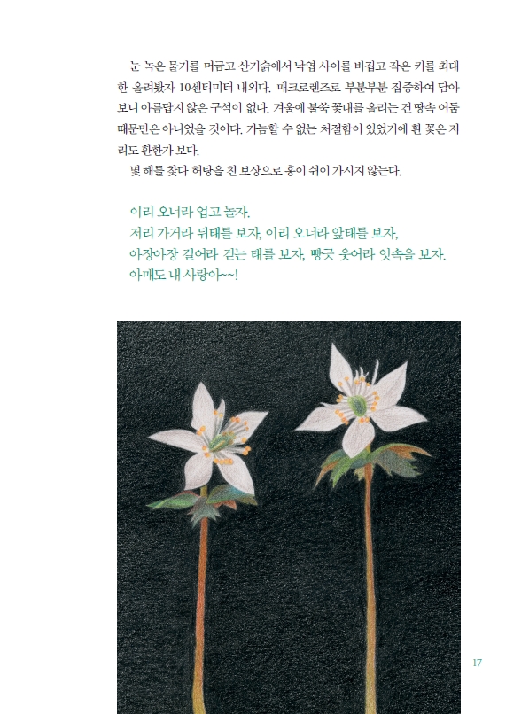 세이버링으로 음미한 숲은 맛있다